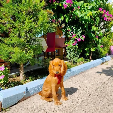 Hotel Erenler